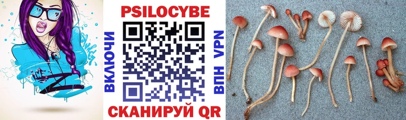 даркнет официальный сайт Апрелевка Псилоцибиновые грибы Magic Shrooms
